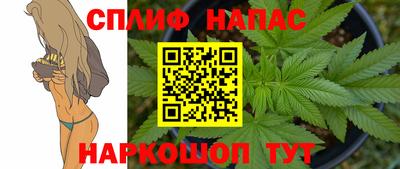 тгк Краснодар