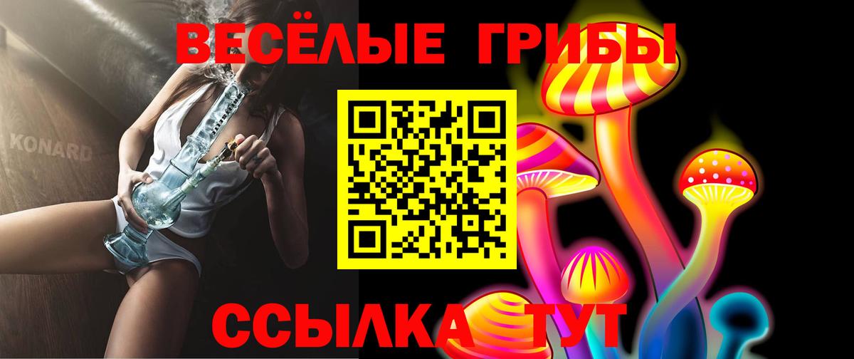 Псилоцибиновые грибы Psilocybine cubensis Кемерово